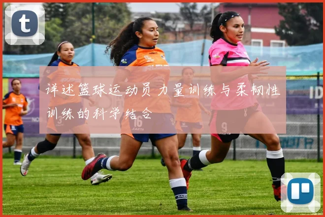 详述篮球运动员力量训练与柔韧性训练的科学结合